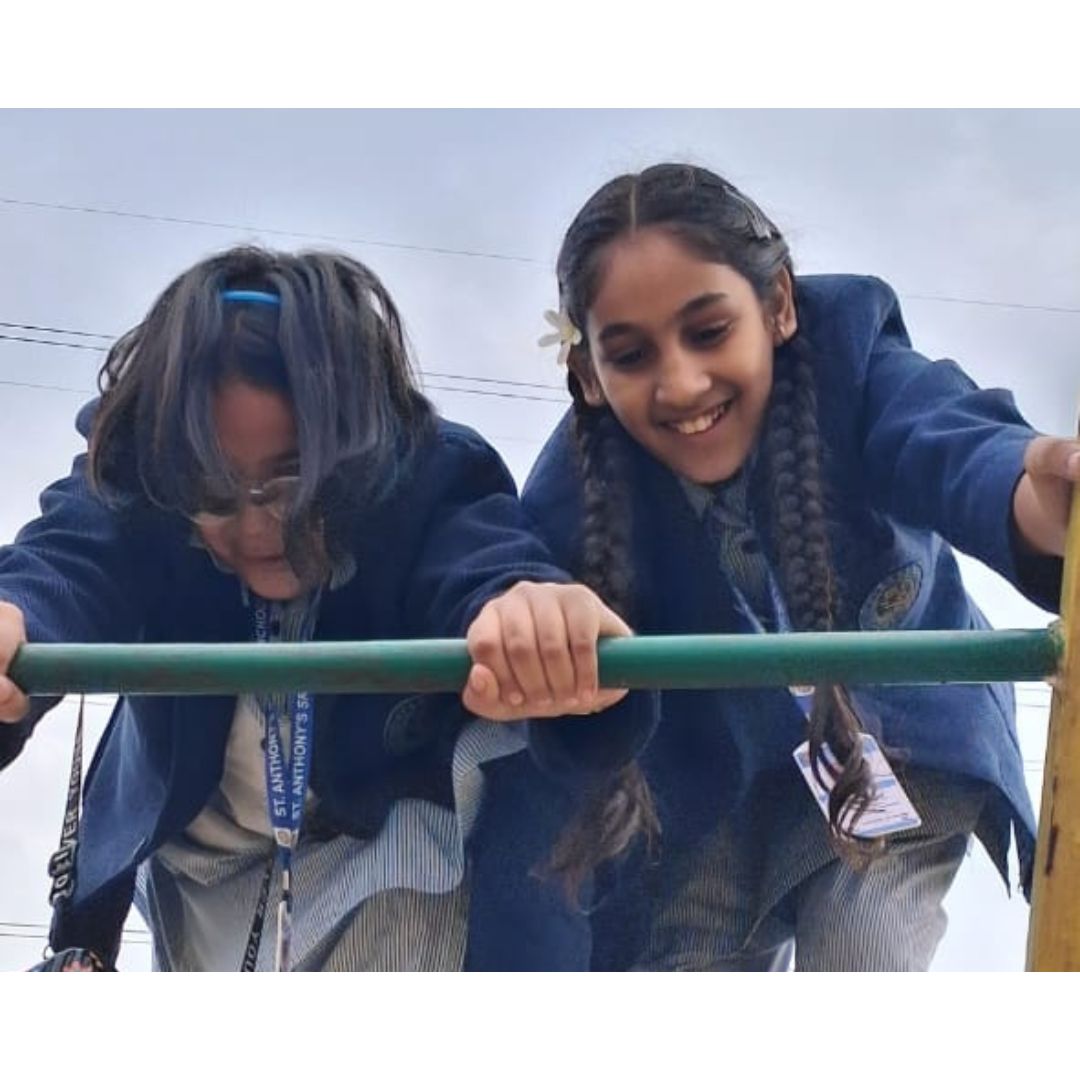 URBAN NATURE ADVENTURE FARMS (PICNIC 2025)