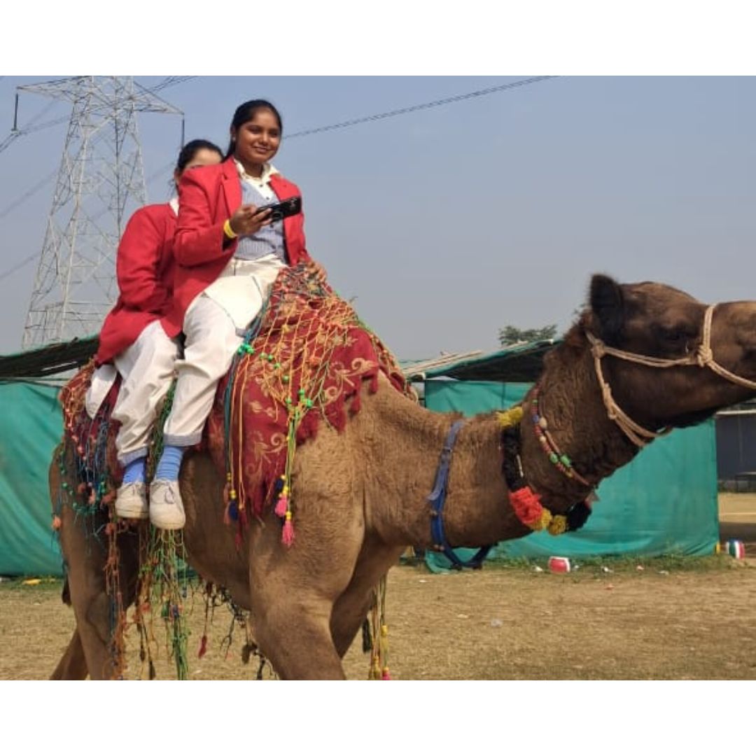 URBAN NATURE ADVENTURE FARMS (PICNIC 2025)