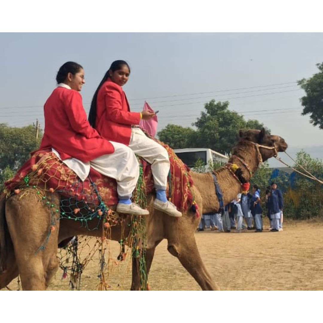 URBAN NATURE ADVENTURE FARMS (PICNIC 2025)